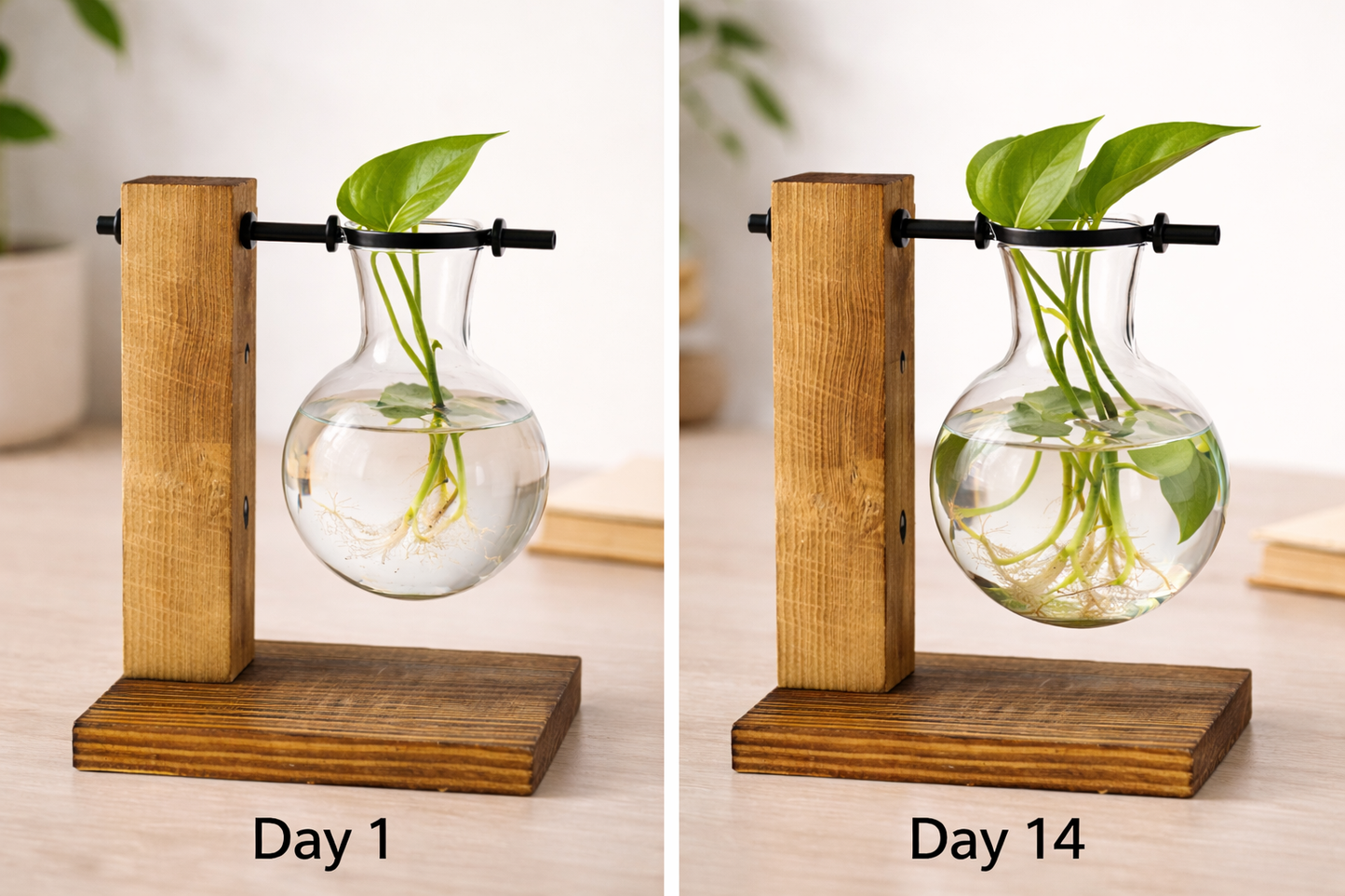Wooden Vase Propagation Stand